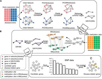 Identification of HCC-Related Genes Based on Differential Partial Correlation Network